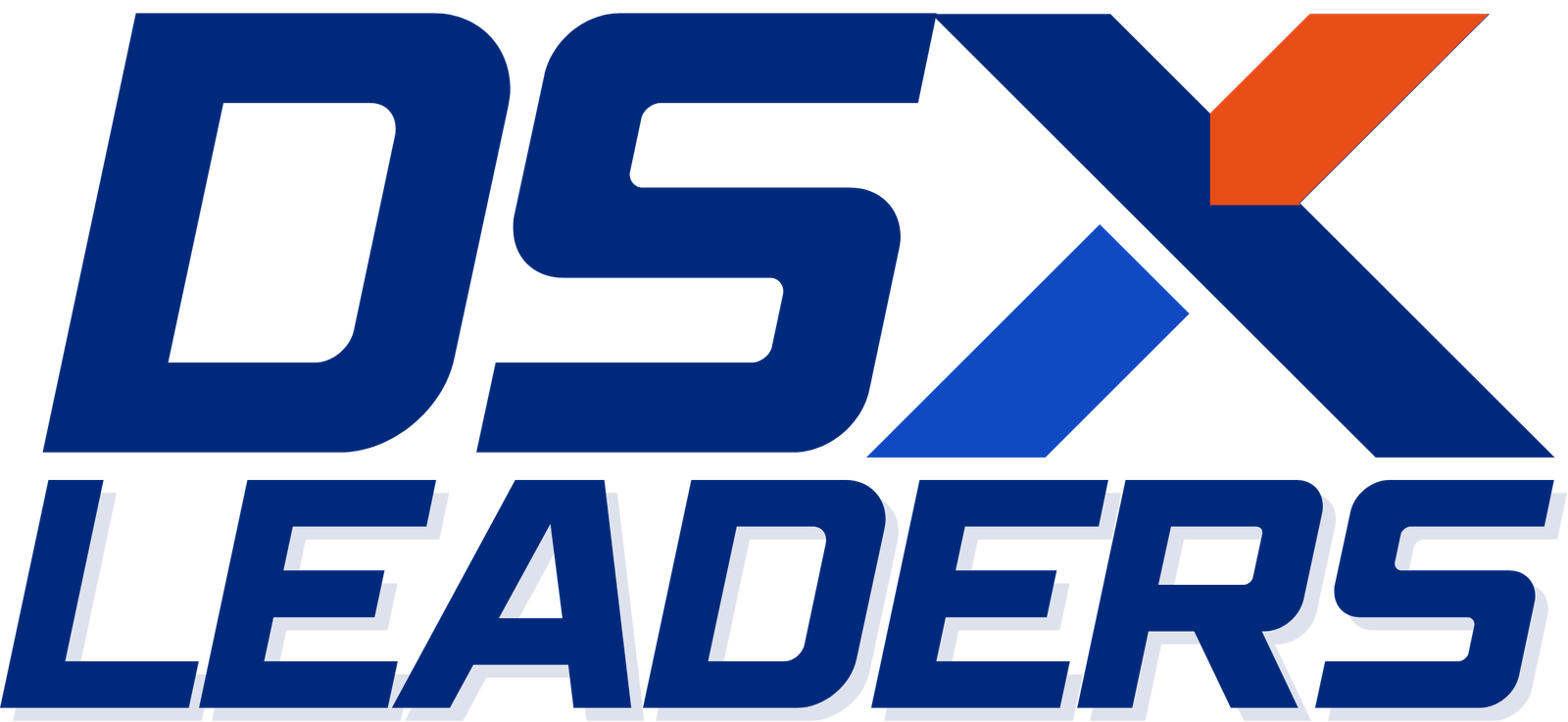 DSX Leaders